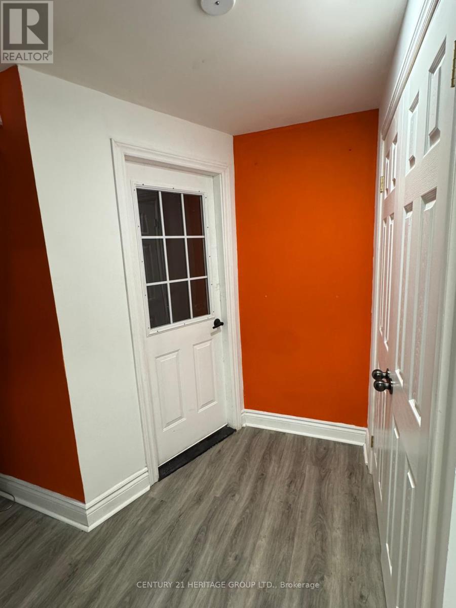 BSMT - 19 MARSH STREET, Richmond Hill, Ontario