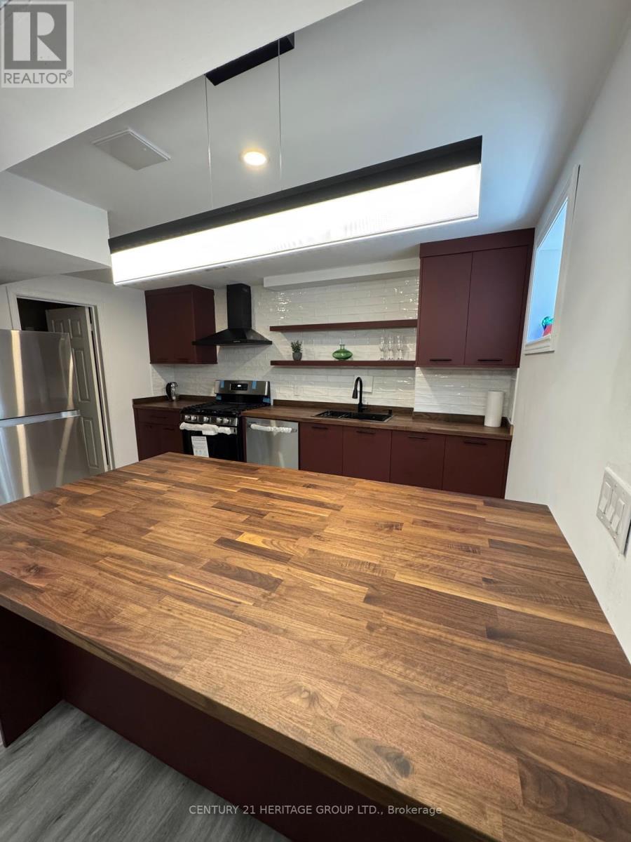 Bsmt - 19 Marsh Street, Richmond Hill, Ontario  L4C 7P2 - Photo 10 - N12601104