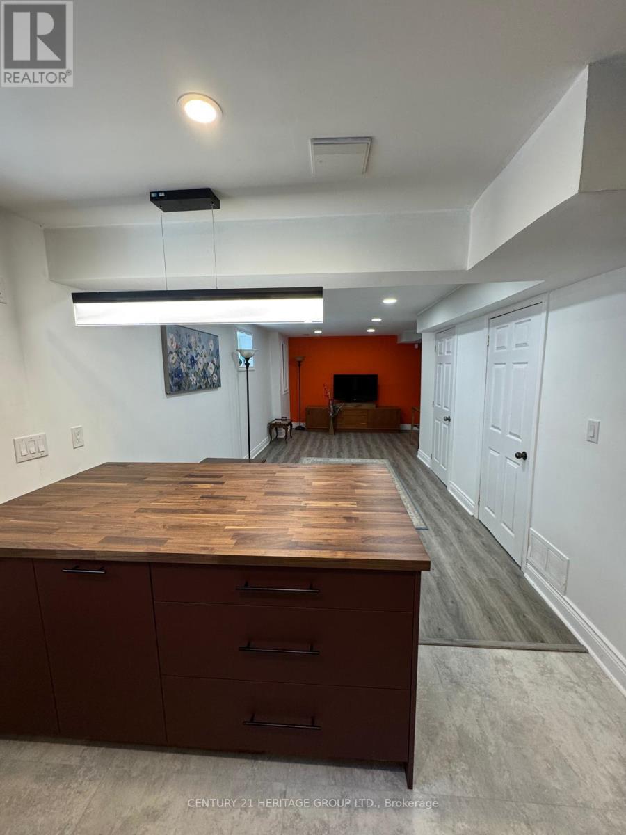 Bsmt - 19 Marsh Street, Richmond Hill, Ontario  L4C 7P2 - Photo 6 - N12601104