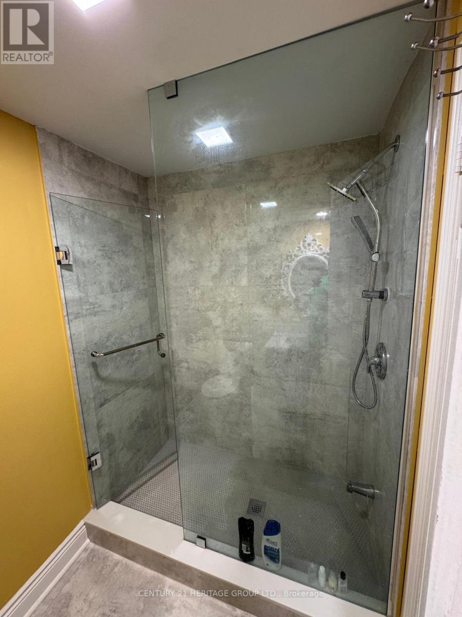 Bsmt - 19 Marsh Street, Richmond Hill, Ontario  L4C 7P2 - Photo 9 - N12601104