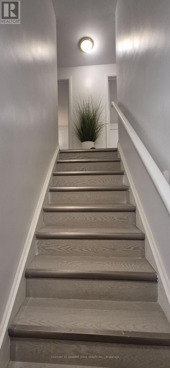 Main - 28 Amity Road W, Mississauga, Ontario  L5M 1P2 - Photo 16 - W12601114