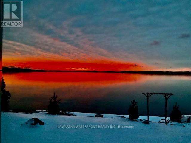 48 Maple Avenue, Kawartha Lakes, Ontario K0M 2B0 - Photo 48 - X12601214