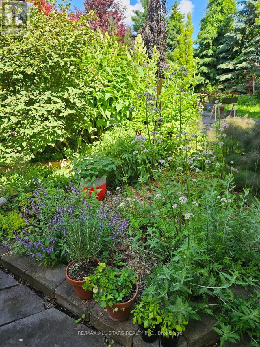 10987 Simcoe Street, Kawartha Lakes, Ontario  L0C 1H0 - Photo 37 - X12601266