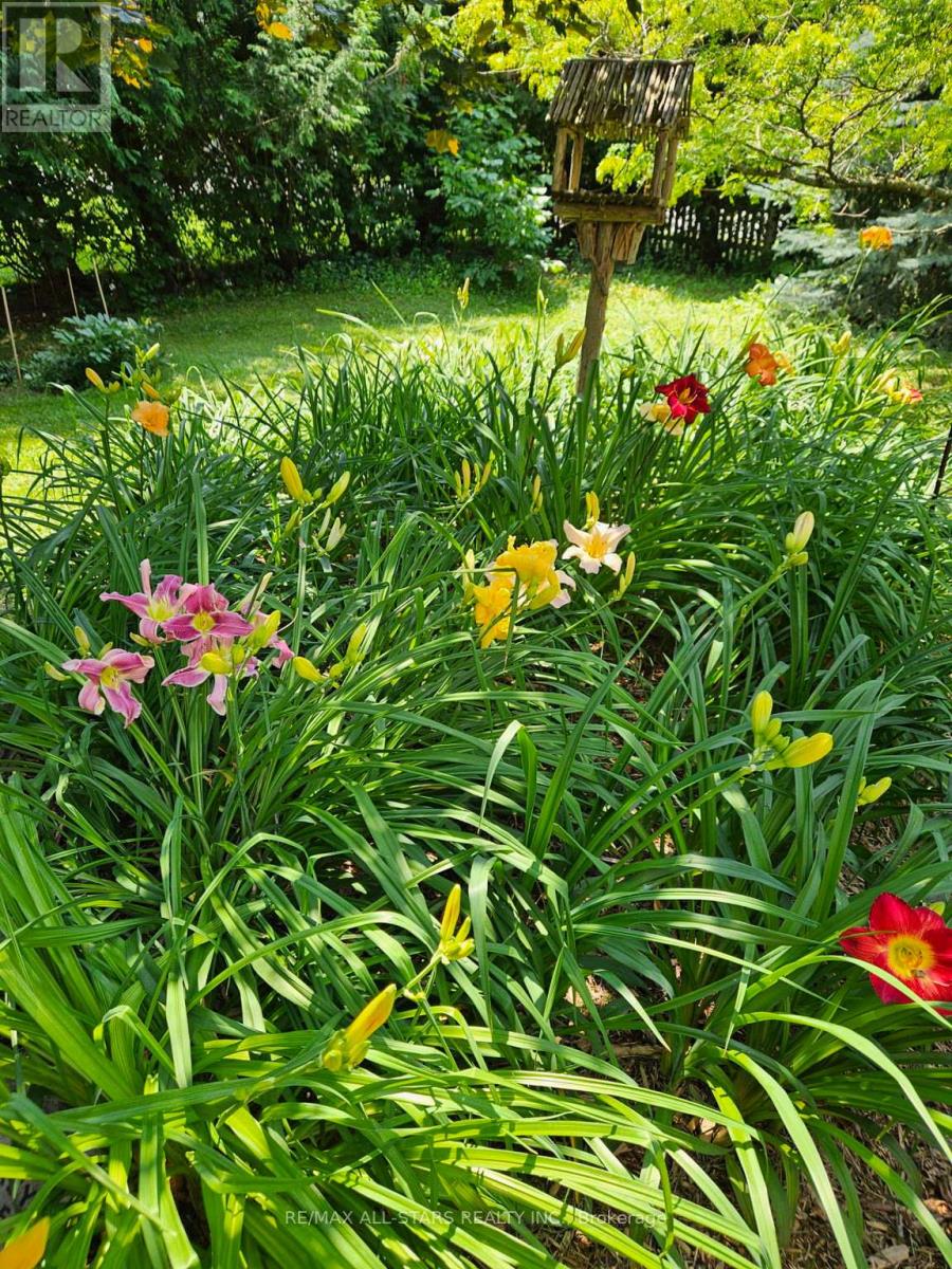 10987 Simcoe Street, Kawartha Lakes, Ontario  L0C 1H0 - Photo 38 - X12601266