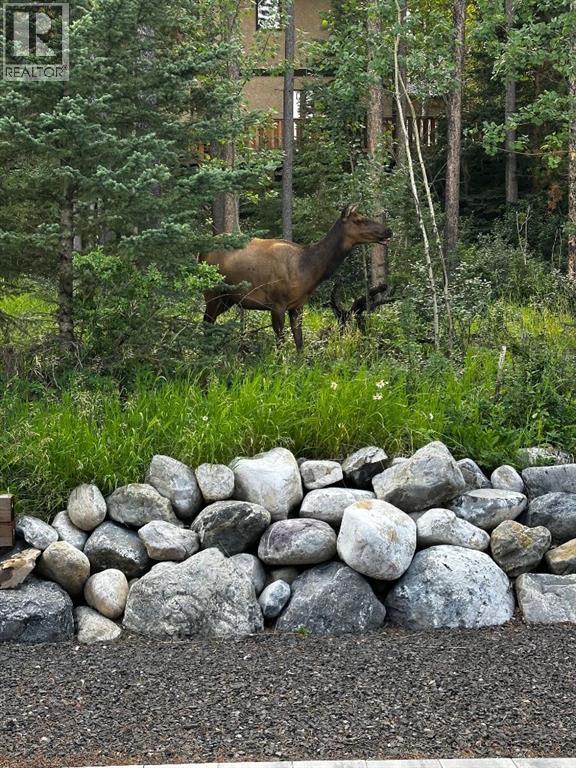 283c Three Sisters Drive, Canmore, Alberta  T1W 2M5 - Photo 39 - A2252887