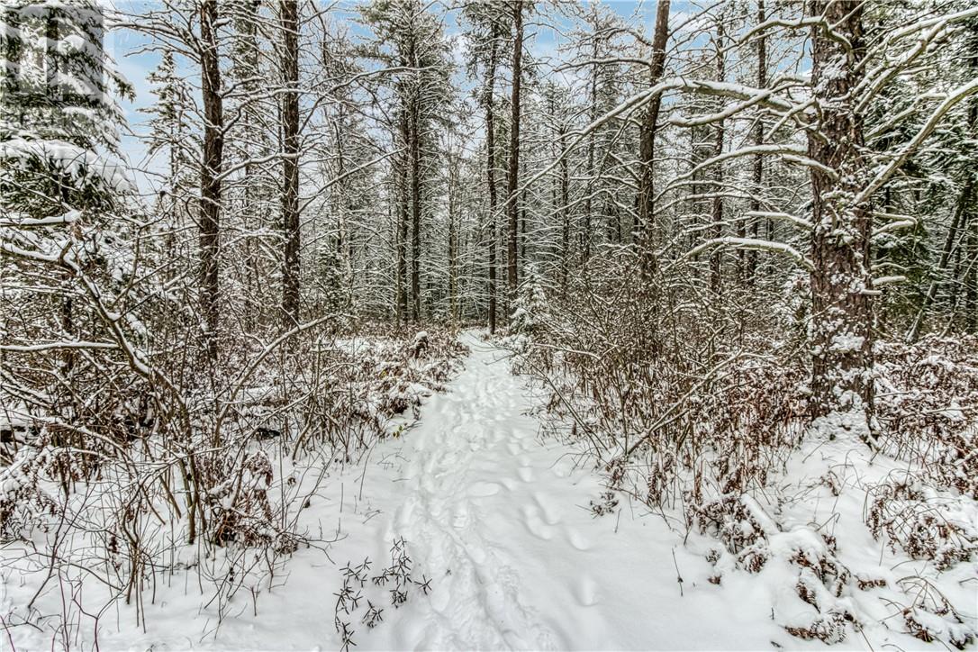 3208 Martin Road, Blezard Valley, Ontario  P0M 1E0 - Photo 49 - 2125842