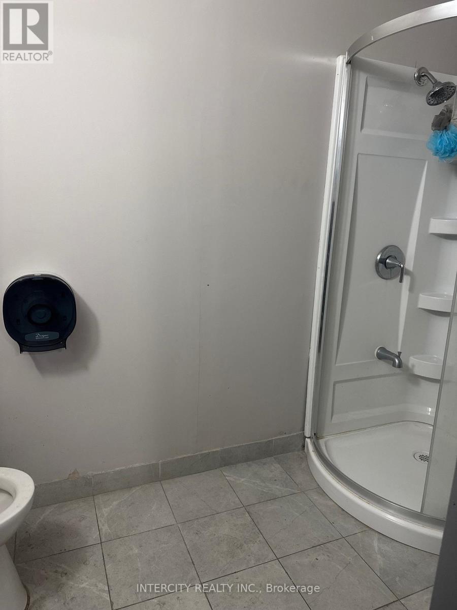 167 Limestone Crescent, Toronto, Ontario  M3J 2S4 - Photo 16 - W12601352