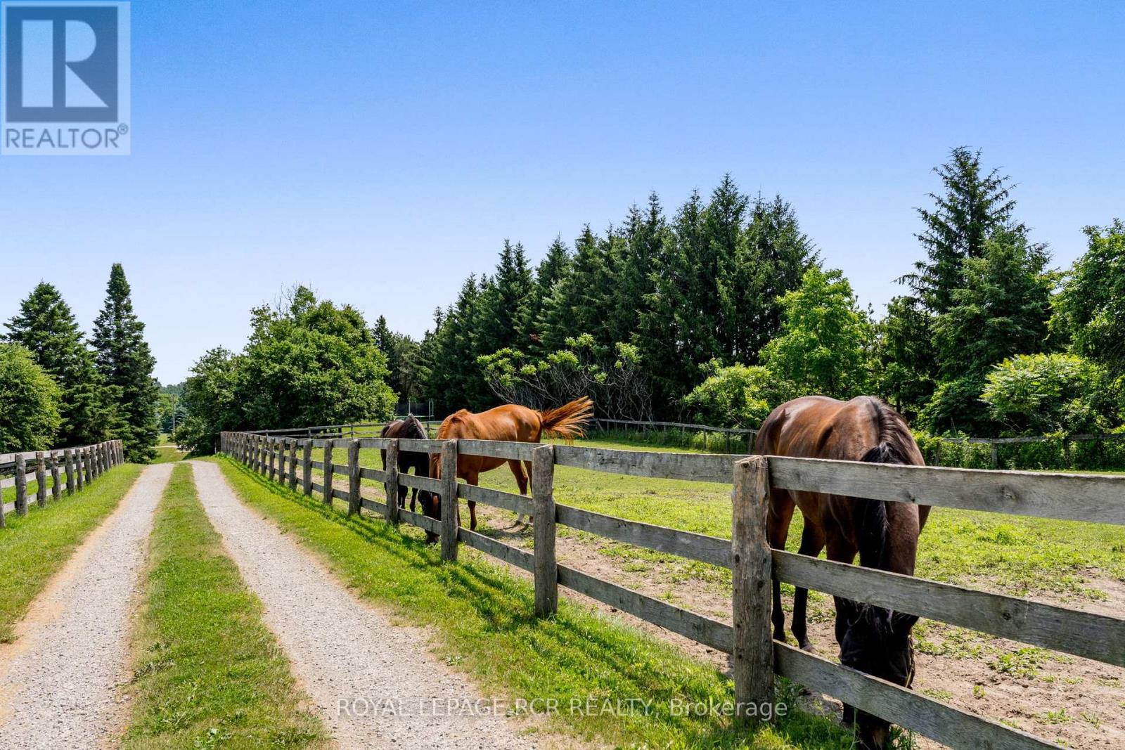 994034 Mono/adjala Townline Road, Mono, Ontario  L9W 6H8 - Photo 36 - X12601160