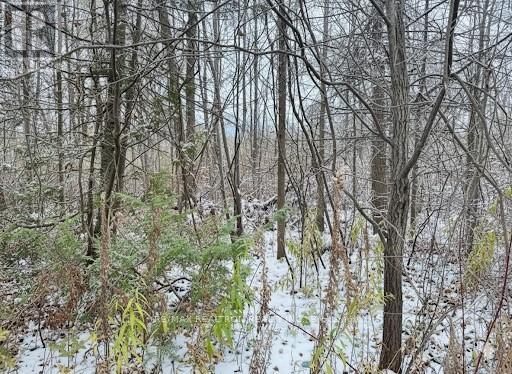 0 Taylorwoods Boulevard, Innisfil, Ontario  L9S 2E9 - Photo 2 - N10414555