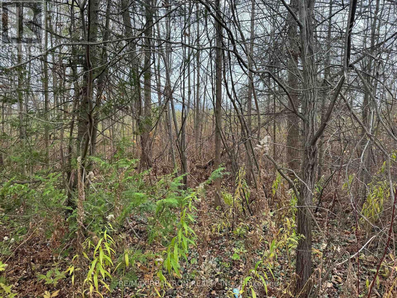 0 Taylorwoods Boulevard, Innisfil, Ontario  L9S 2E9 - Photo 5 - N10414555