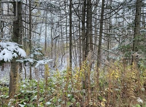 0 Taylorwoods Boulevard, Innisfil, Ontario  L9S 2E9 - Photo 3 - N10414555