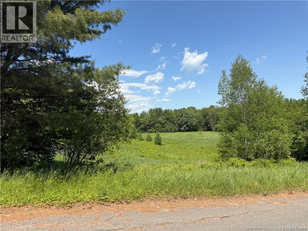 975 Northside Drive, Minto, New Brunswick  E4B 3G5 - Photo 19 - NB118569