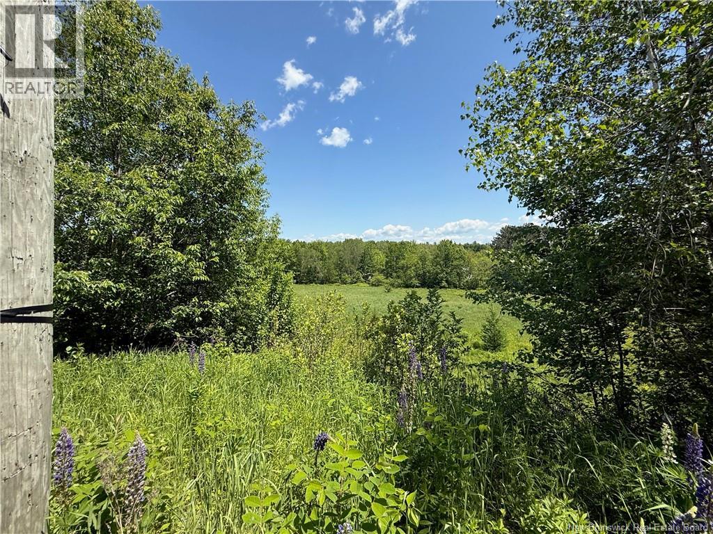 975 Northside Drive, Minto, New Brunswick  E4B 3G5 - Photo 17 - NB118569