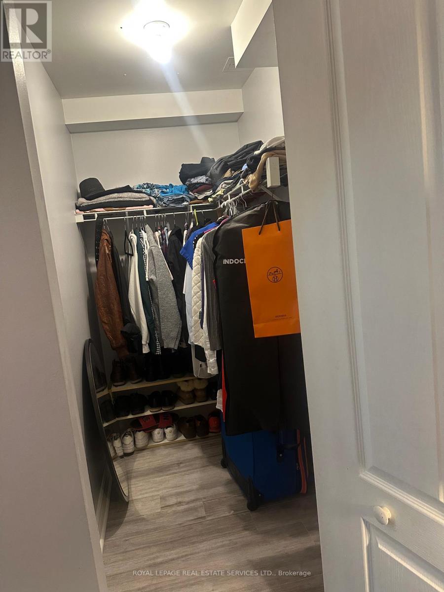 Bsmt - 79 Breton Avenue, Mississauga, Ontario  L4Z 4K5 - Photo 5 - W12601468