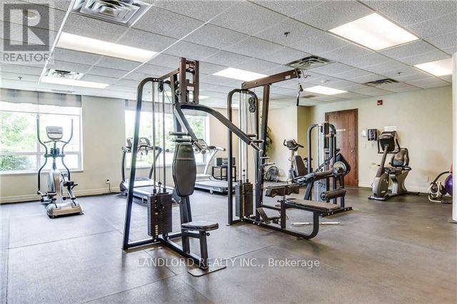 204 - 11 Oneida Crescent, Richmond Hill, Ontario  L4B 0A1 - Photo 17 - N12601536