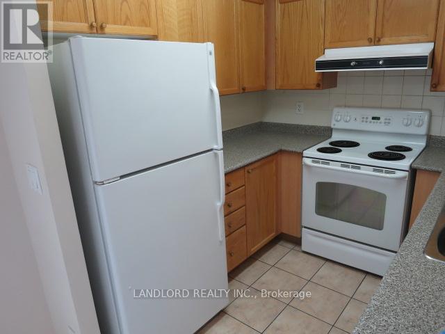 204 - 11 Oneida Crescent, Richmond Hill, Ontario  L4B 0A1 - Photo 3 - N12601536