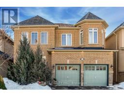 BASEMENT - 42 CONDORVALLEY CRESCENT, Brampton, Ontario