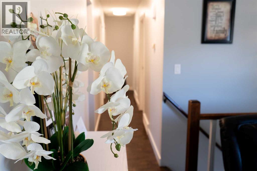 129 Scandia Cresent, Scandia, Alberta  T0J 2Z0 - Photo 10 - A2262327