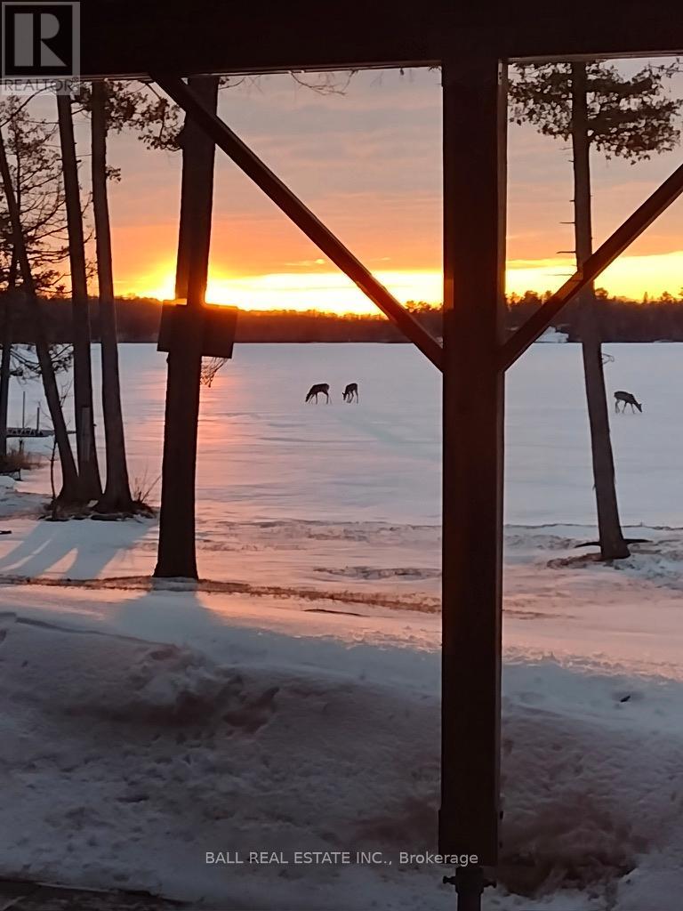 154 Julian Lake Road, North Kawartha, Ontario  K0L 3E0 - Photo 43 - X12601696