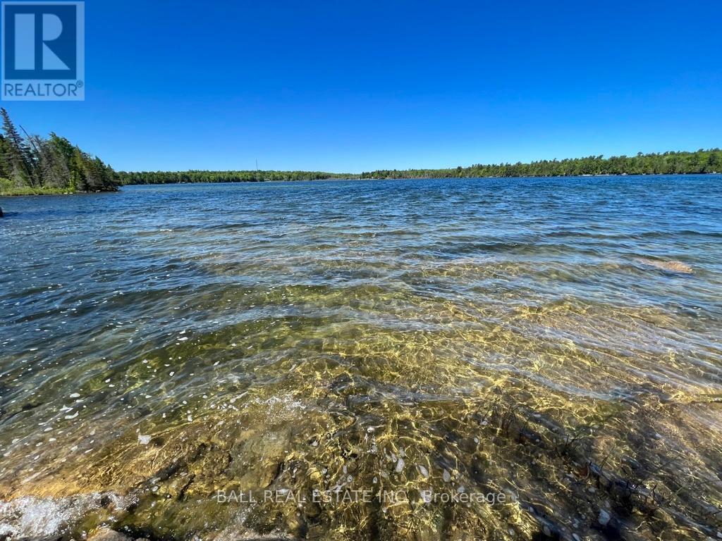 154 Julian Lake Road, North Kawartha, Ontario  K0L 3E0 - Photo 7 - X12601696