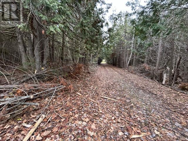 PTLT 29 CONCESSION 8, Kawartha Lakes, Ontario