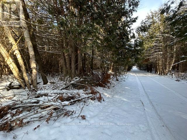 Ptlt 29 Concession 8, Kawartha Lakes, Ontario K0M 1A0 - Photo 10 - X12601760
