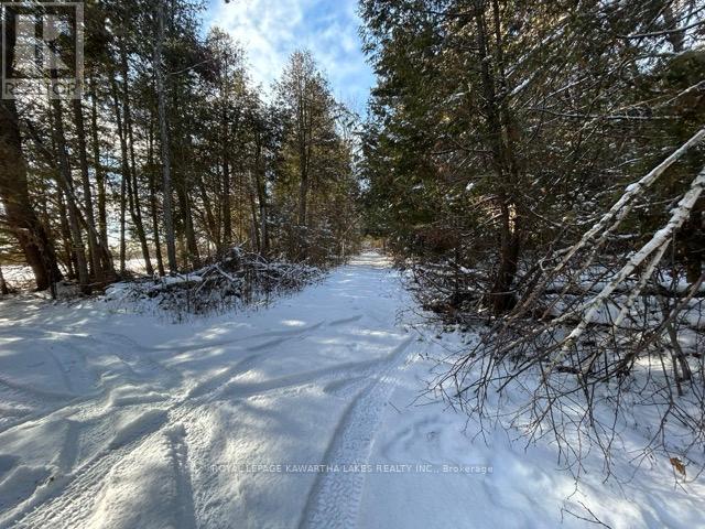 Ptlt 29 Concession 8, Kawartha Lakes, Ontario K0M 1A0 - Photo 12 - X12601760