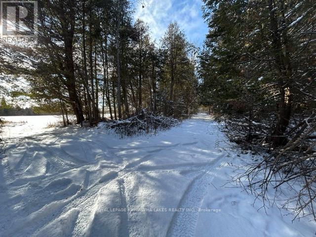 Ptlt 29 Concession 8, Kawartha Lakes, Ontario K0M 1A0 - Photo 13 - X12601760