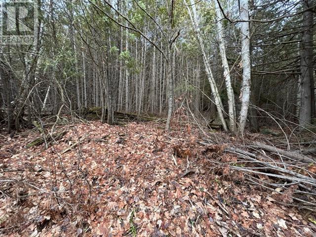 Ptlt 29 Concession 8, Kawartha Lakes, Ontario K0M 1A0 - Photo 2 - X12601760