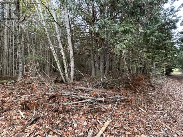 Ptlt 29 Concession 8, Kawartha Lakes, Ontario K0M 1A0 - Photo 3 - X12601760