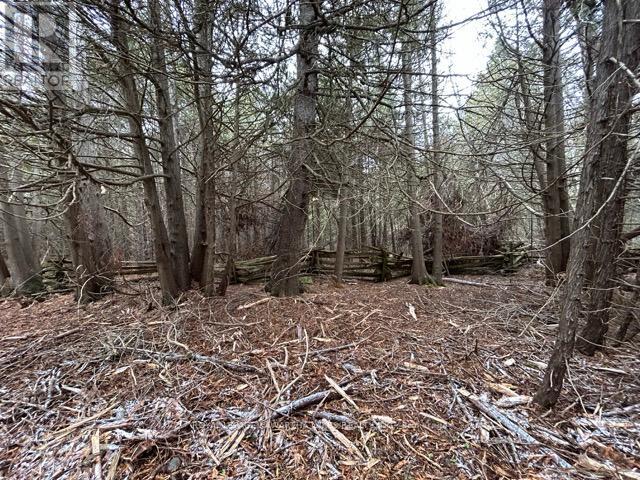 Ptlt 29 Concession 8, Kawartha Lakes, Ontario K0M 1A0 - Photo 7 - X12601760