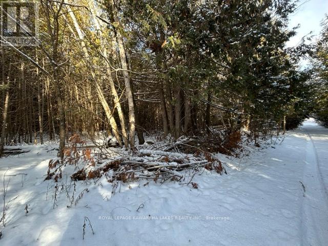 Ptlt 29 Concession 8, Kawartha Lakes, Ontario K0M 1A0 - Photo 9 - X12601760