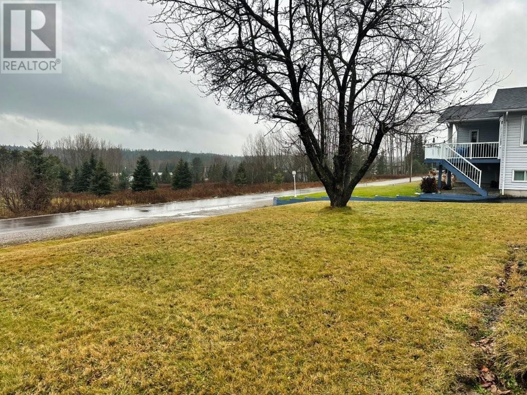 183 Mckirdy Ave, Nipigon, Ontario  P0T 2J0 - Photo 5 - TB253542