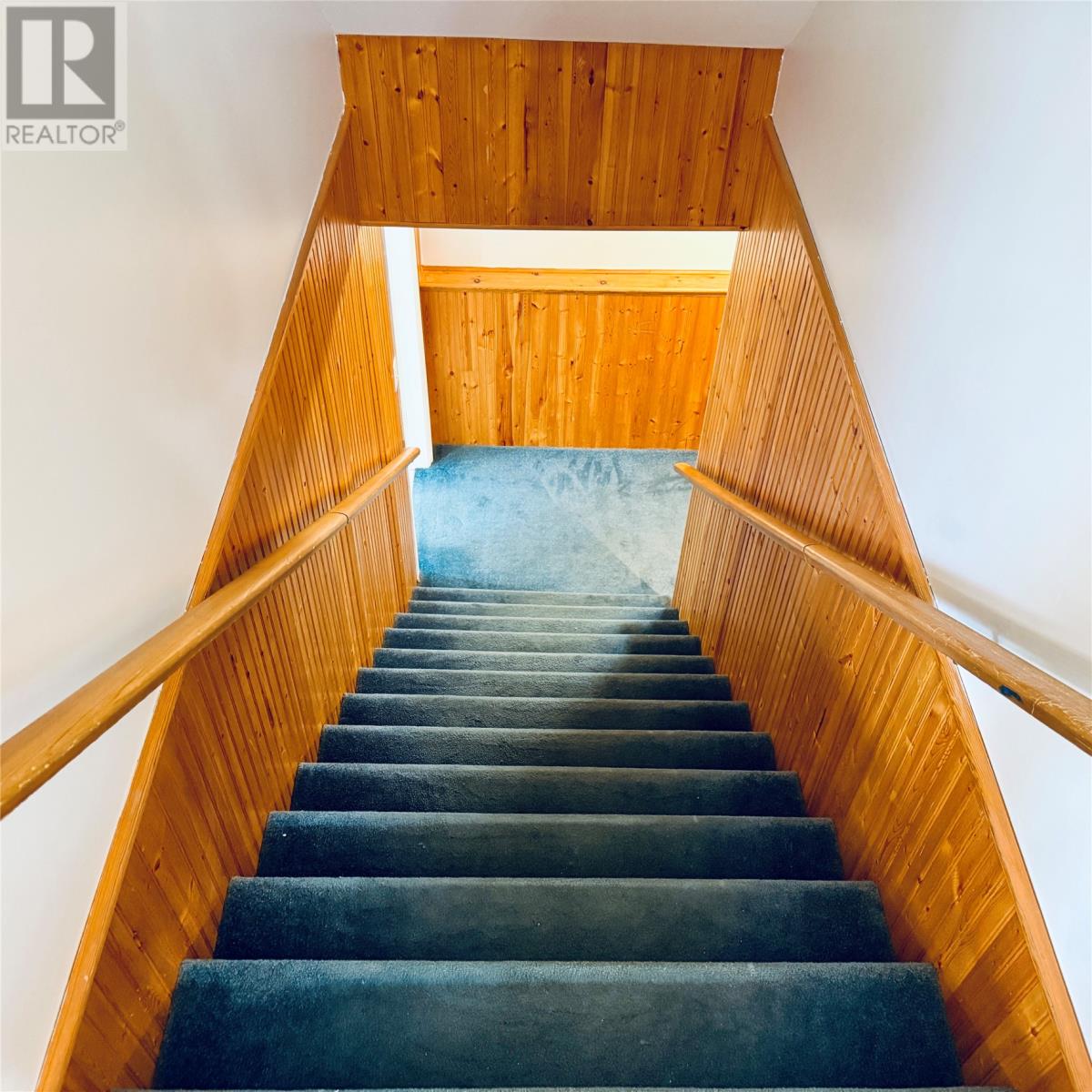 102 Main Street, Springdale, Newfoundland & Labrador  A0J 1T0 - Photo 40 - 1292707