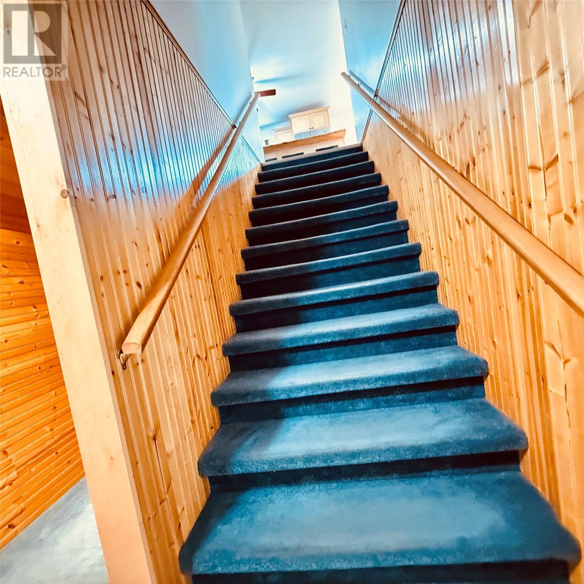 102 Main Street, Springdale, Newfoundland & Labrador  A0J 1T0 - Photo 41 - 1292707