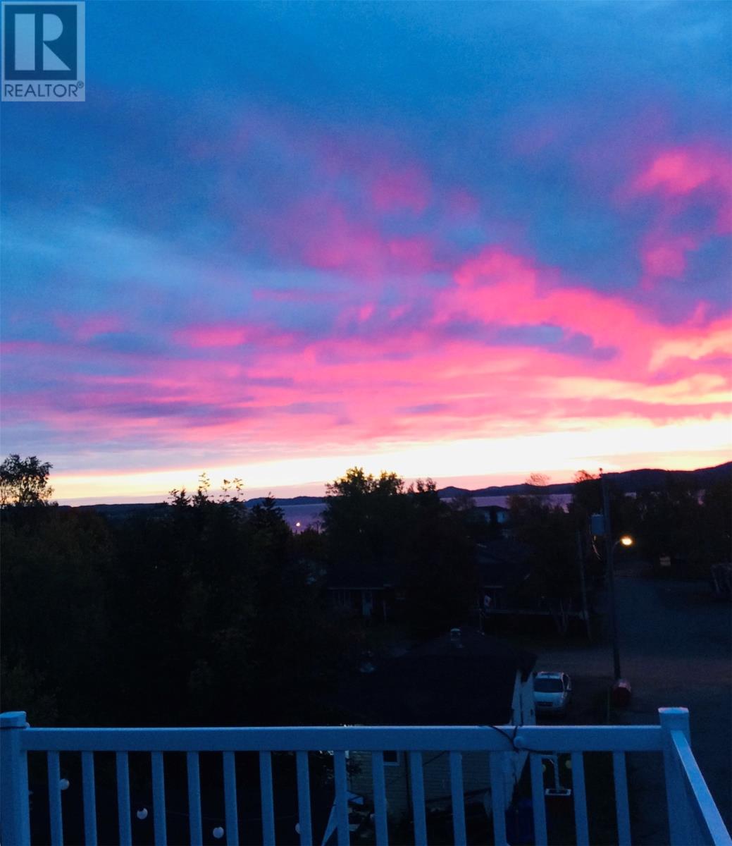 102 Main Street, Springdale, Newfoundland & Labrador  A0J 1T0 - Photo 50 - 1292707