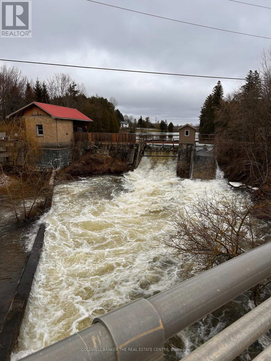 99 1st Avenue S, Arran-Elderslie, Ontario  N0G 1L0 - Photo 22 - X12601894