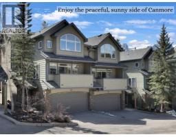 117, 13 Aspen Glen Silvertip