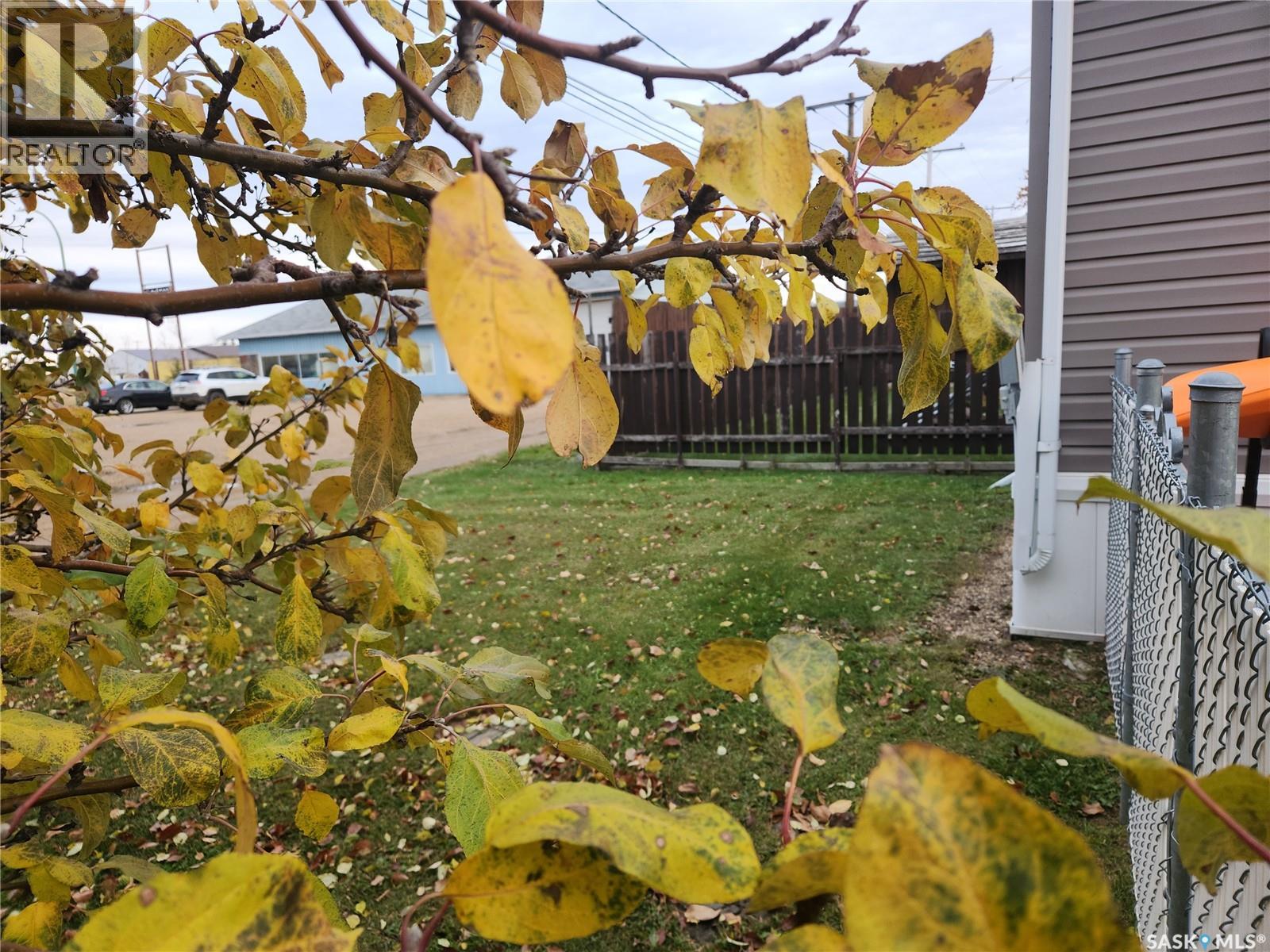 2118 100b Street, Tisdale, Saskatchewan  S0E 1T0 - Photo 24 - SK025179