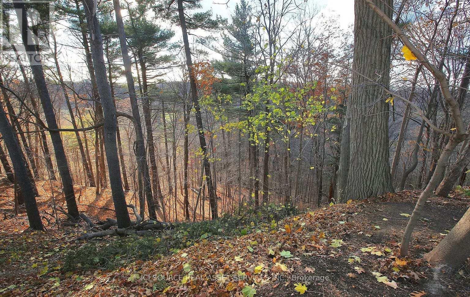 34 Gwendolen Crescent, Toronto, Ontario  M2N 2L7 - Photo 30 - C12602138