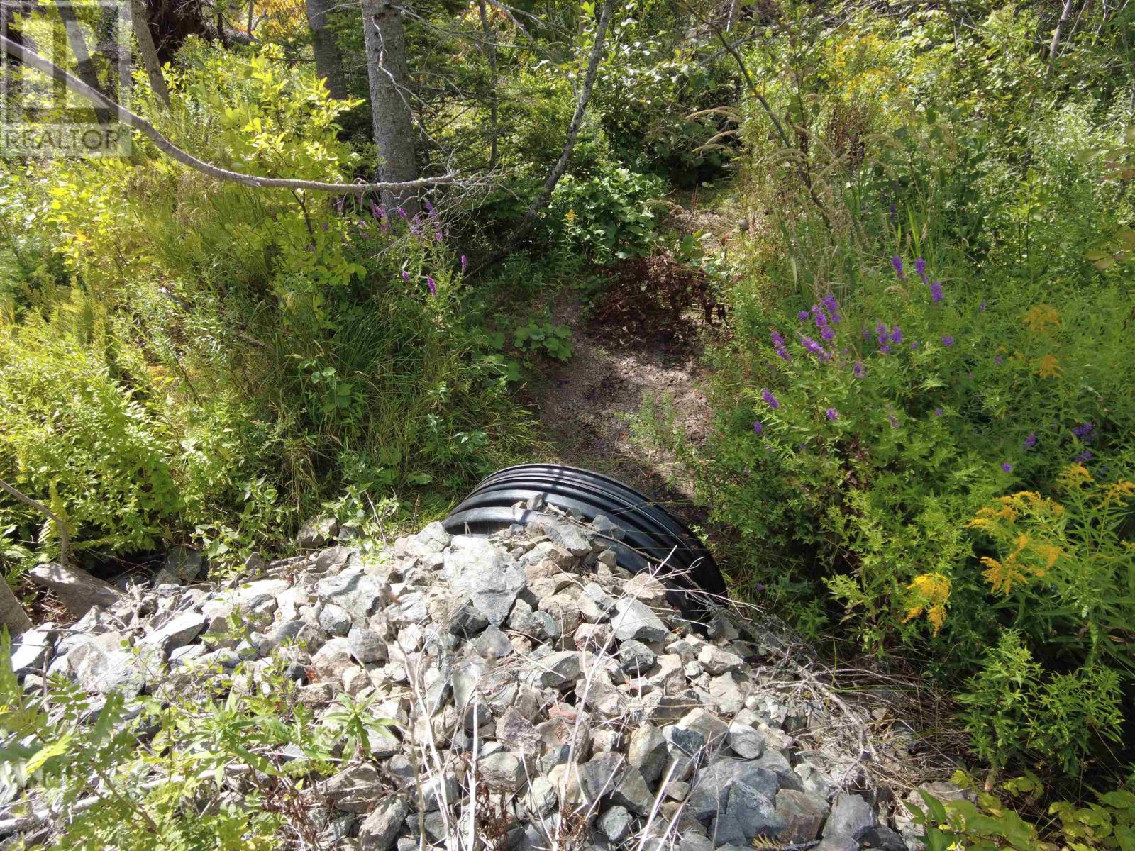 Acreage Rte 2, St. Peter's, Prince Edward Island C0A 2A0 - Photo 4 - 202529056