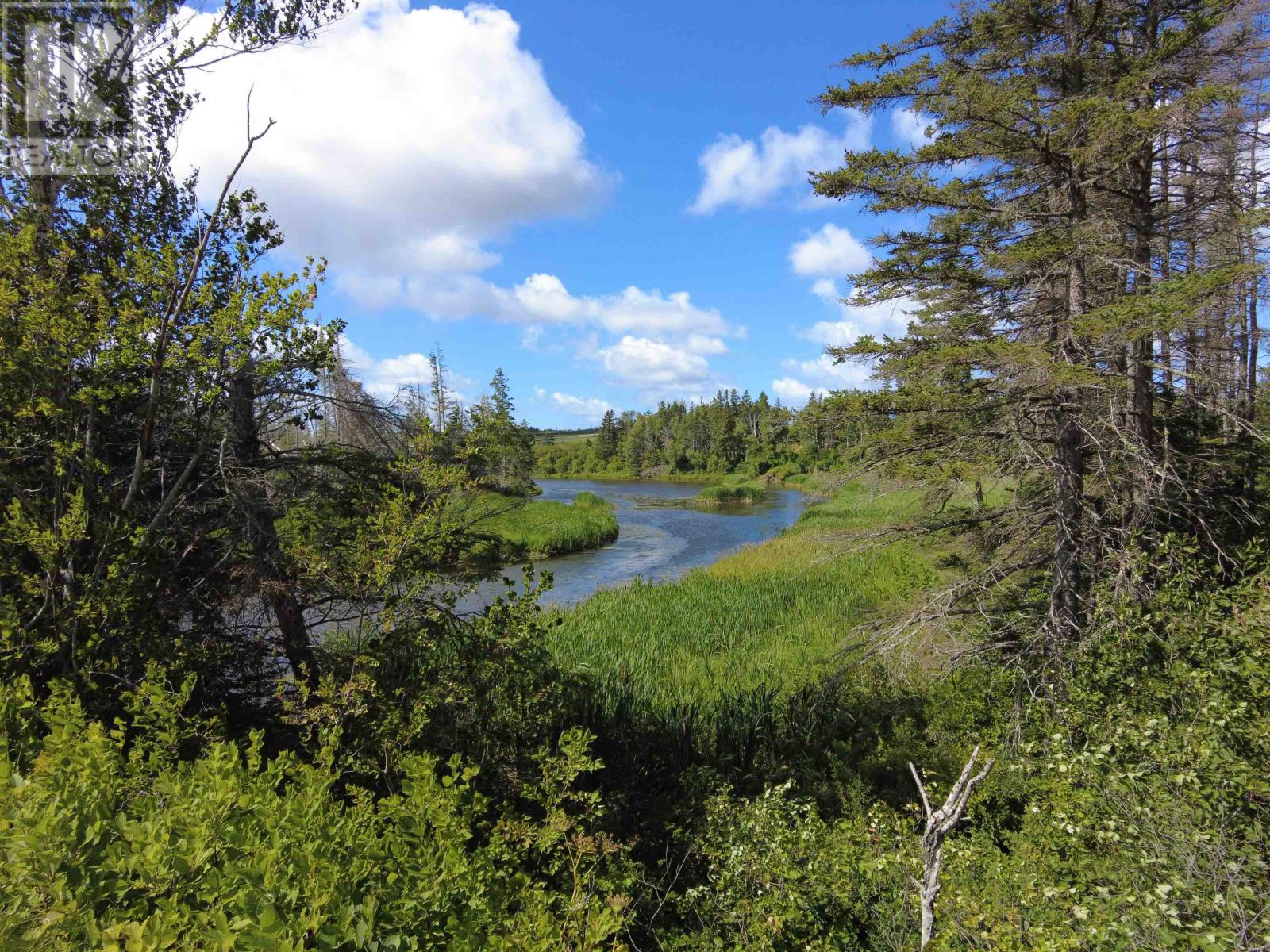 Acreage Rte 2, St. Peter's, Prince Edward Island C0A 2A0 - Photo 8 - 202529056