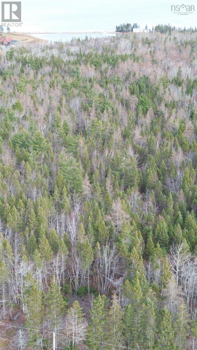 Lot 9 West Bay Highway, Roberta, Nova Scotia  B0E 3B0 - Photo 36 - 202527026