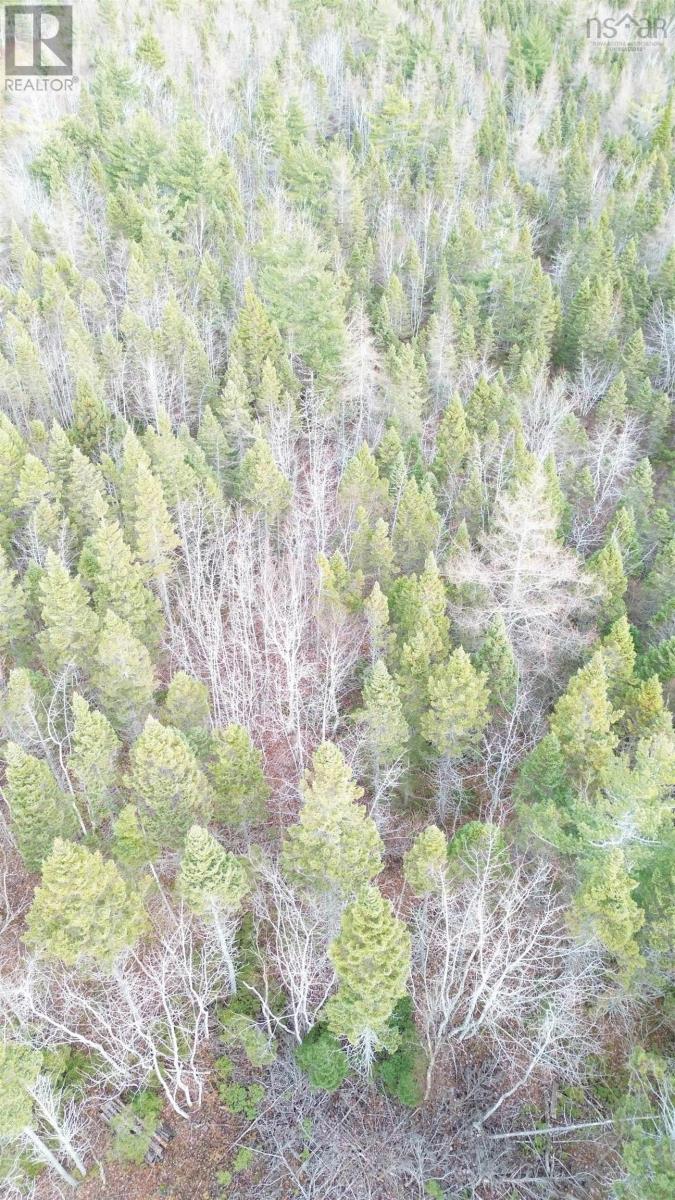 Lot 9 West Bay Highway, Roberta, Nova Scotia  B0E 3B0 - Photo 38 - 202527026