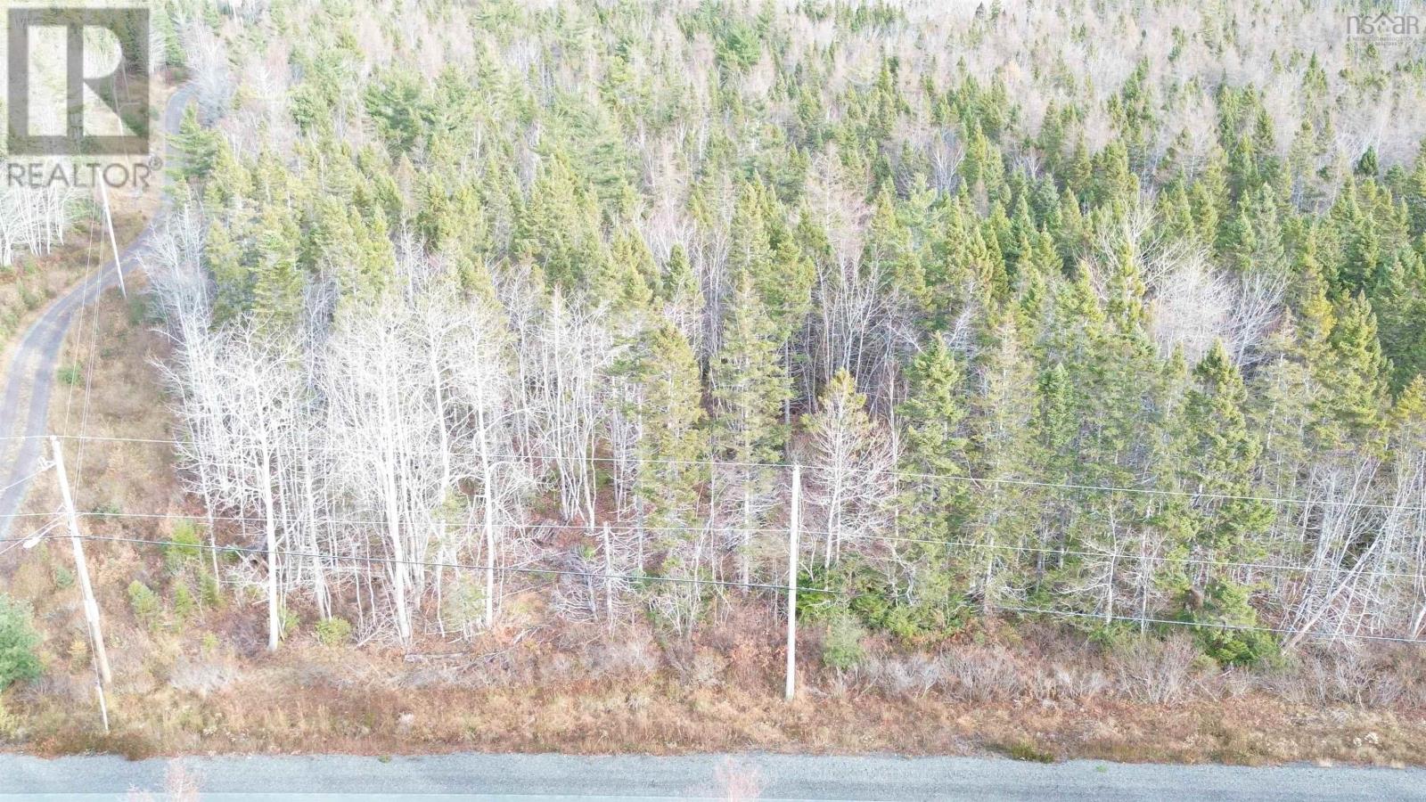Lot 9 West Bay Highway, Roberta, Nova Scotia  B0E 3B0 - Photo 8 - 202527026