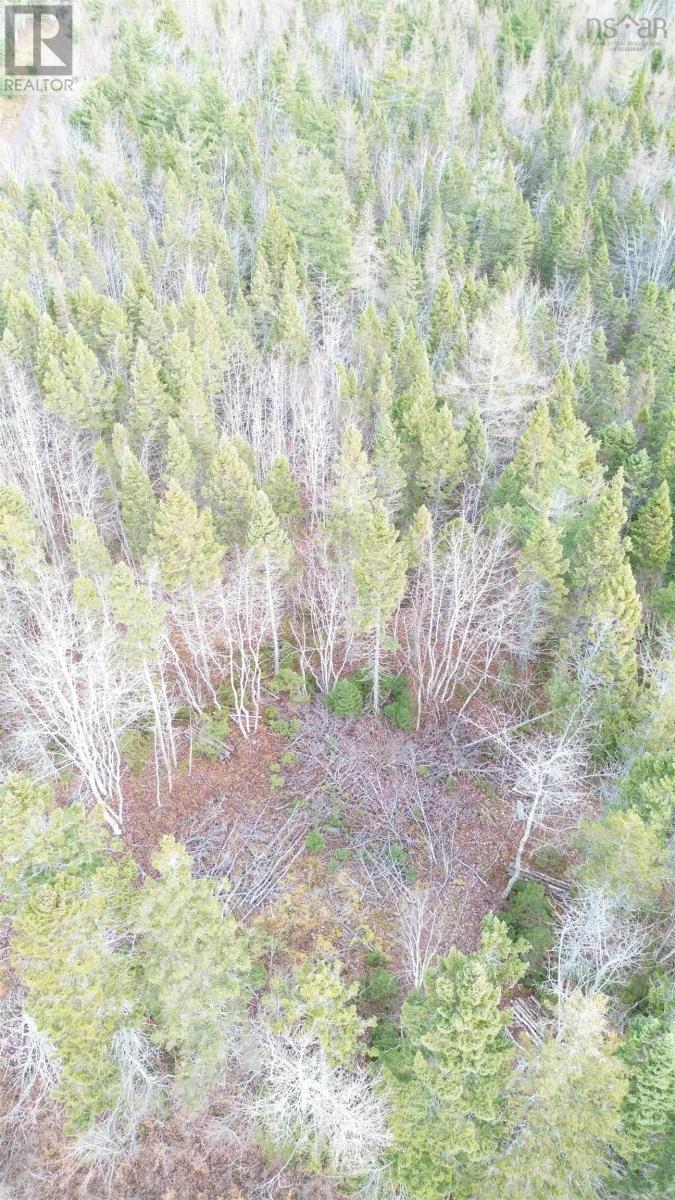 Lot 9 West Bay Highway, Roberta, Nova Scotia  B0E 3B0 - Photo 37 - 202527026