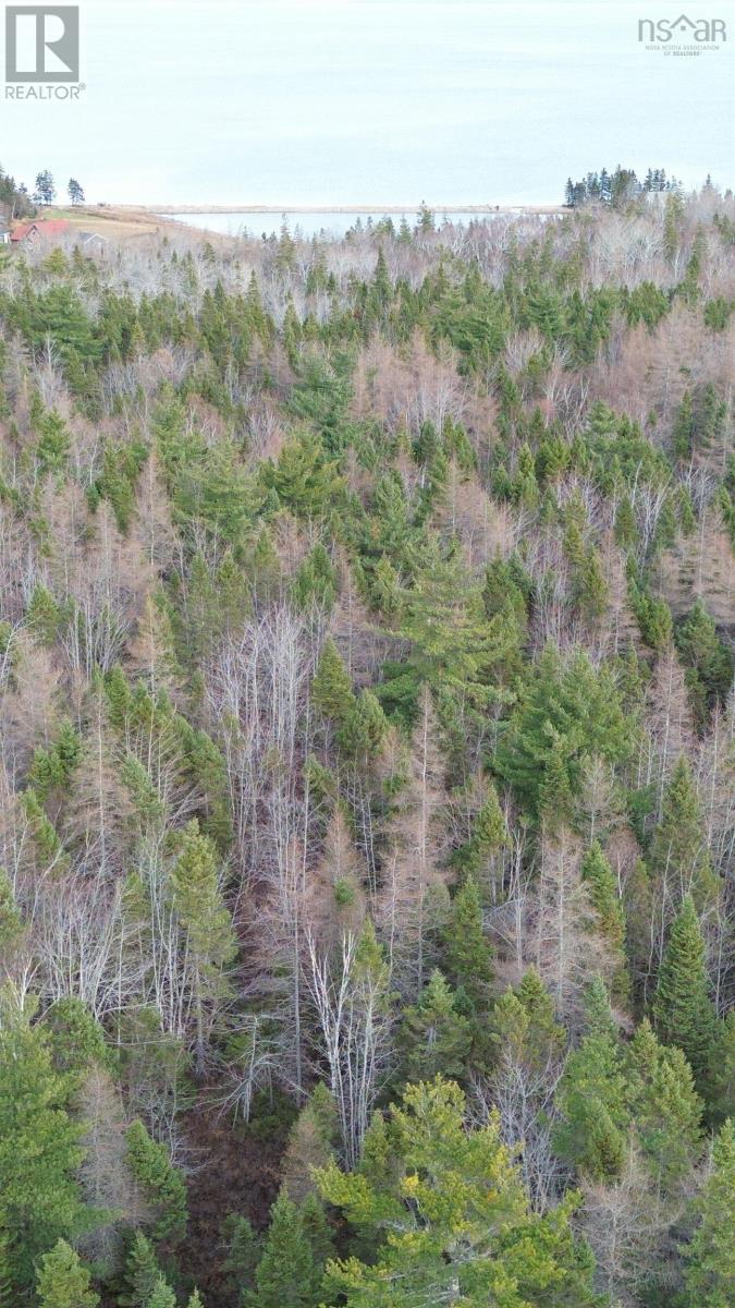 Lot 9 West Bay Highway, Roberta, Nova Scotia  B0E 3B0 - Photo 39 - 202527026