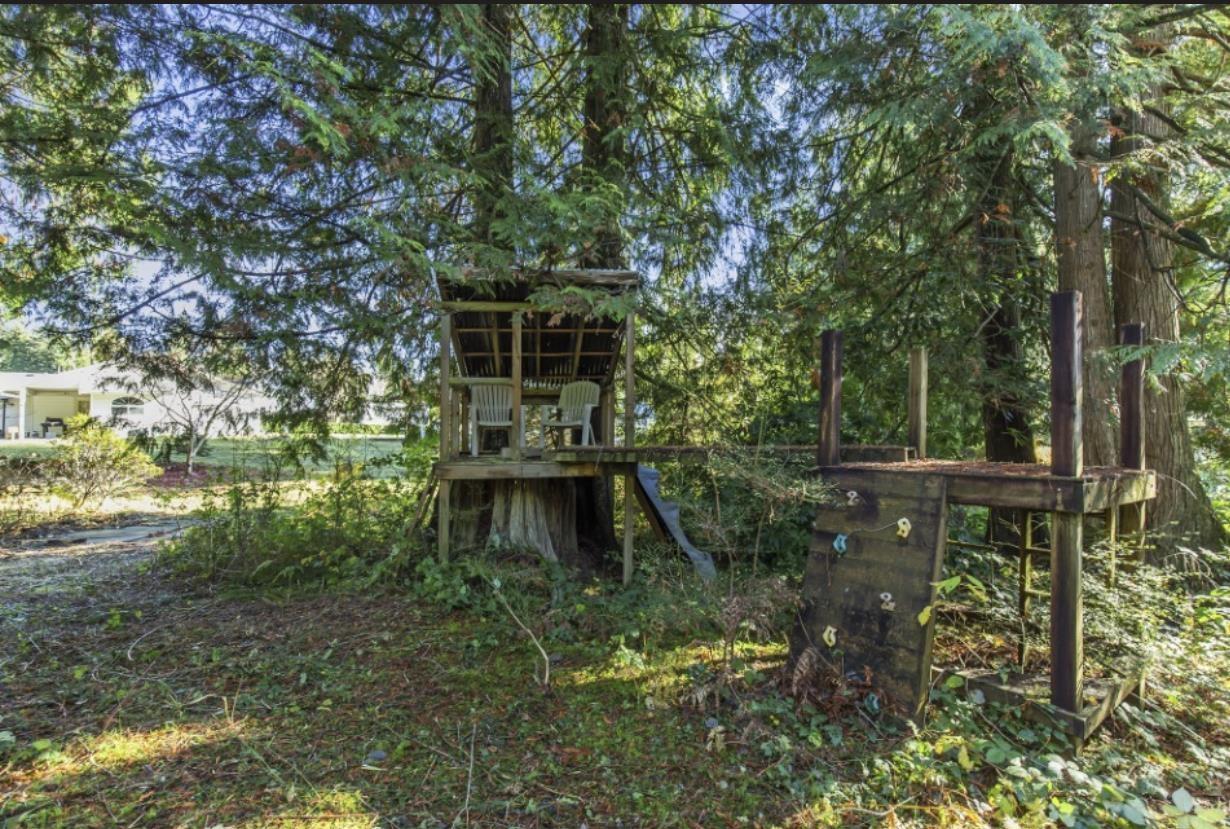 30317 Berg Avenue, Mission, British Columbia  V4S 1C8 - Photo 7 - R3065953