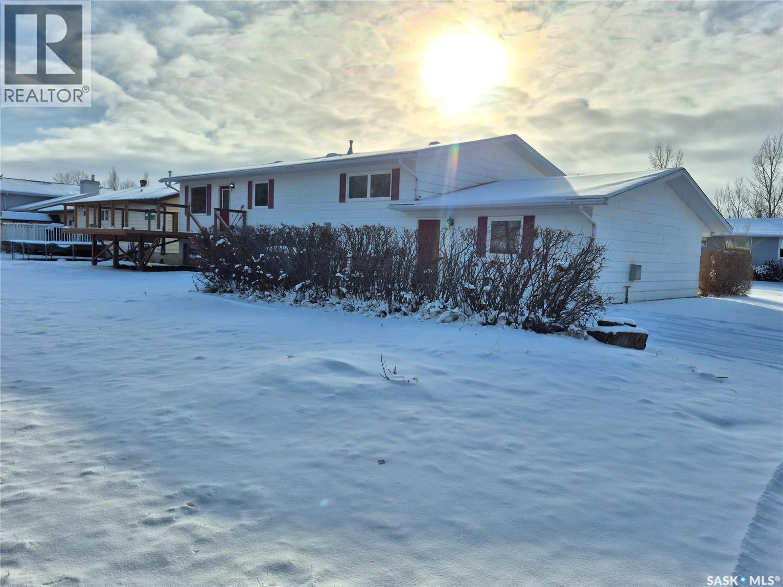 725 Shropshire Avenue, Radville, Saskatchewan  S0C 2G0 - Photo 46 - SK025223