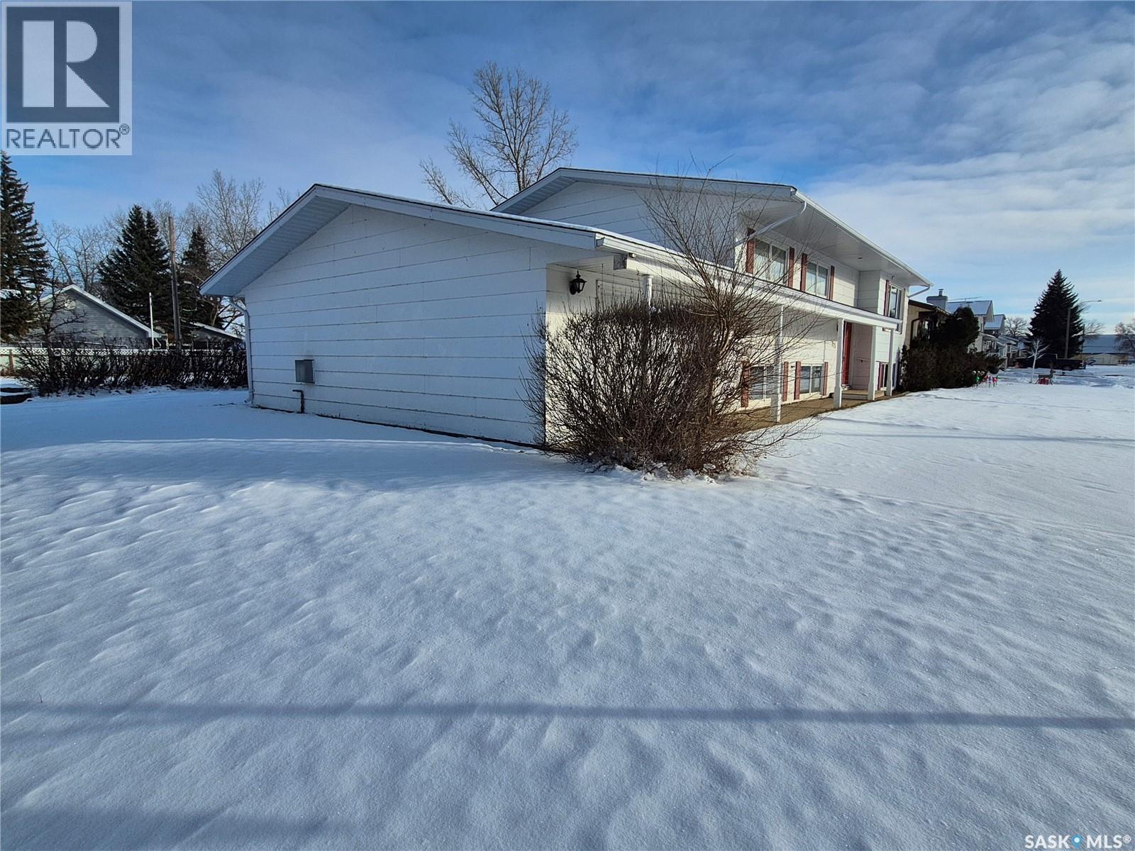 725 Shropshire Avenue, Radville, Saskatchewan  S0C 2G0 - Photo 48 - SK025223